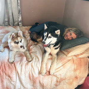 Meet your Posher, Dan